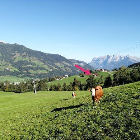 Landhaus Voetter Sankt Johann im Pongau Ngoại thất bức ảnh